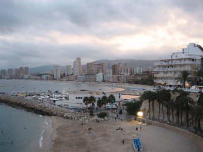 IMG_6446.jpg