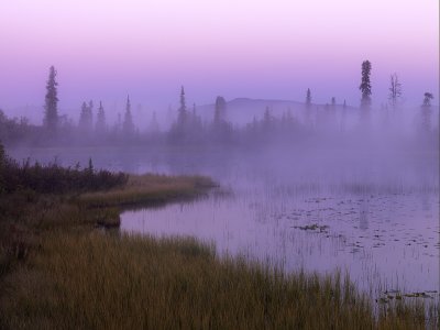 Foggy Dawn