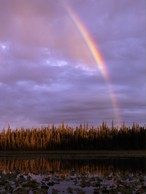 Rainbow Sunrise