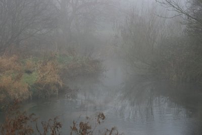 IMG_3329.JPG