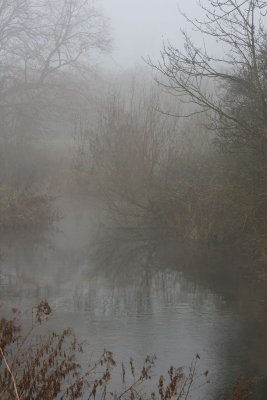 IMG_3331.JPG