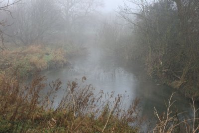 IMG_3332.JPG