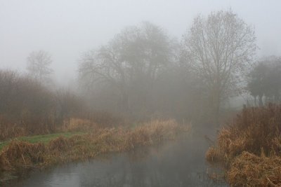 IMG_3336.JPG