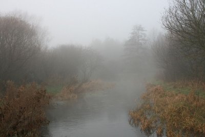 IMG_3339.JPG