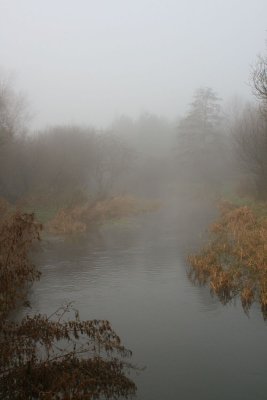 IMG_3342.JPG