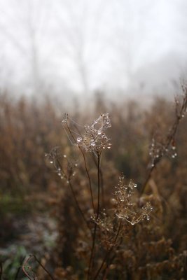 IMG_3358.JPG