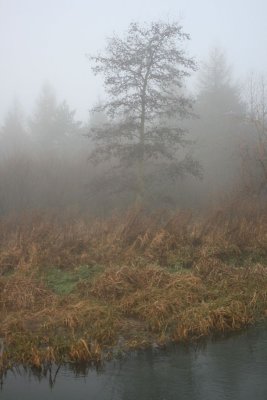 IMG_3359.JPG