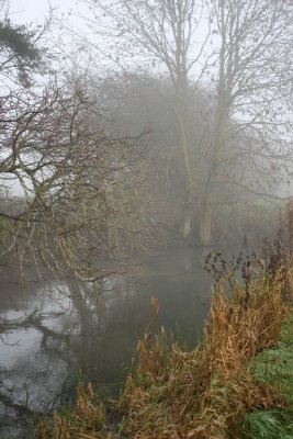IMG_3360.JPG
