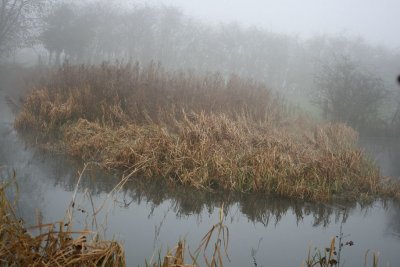 IMG_3361.JPG