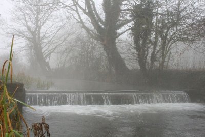 IMG_3364.JPG