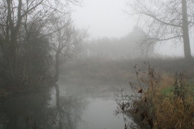 IMG_3365.JPG