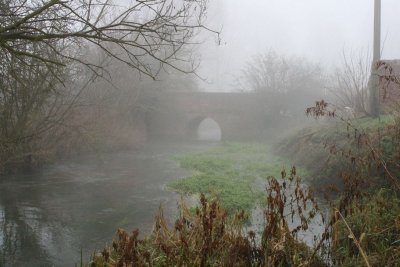 winter beck