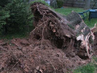Big dirty mess