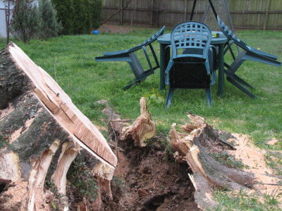 Table - 1, Tree - 0