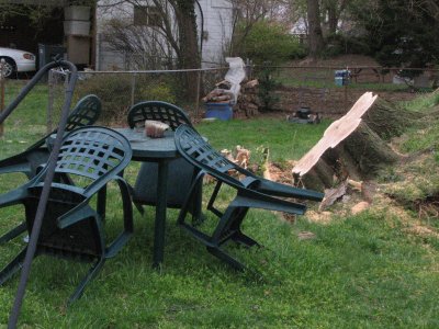 Table and stump