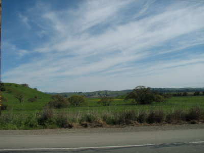 California2007 002.jpg