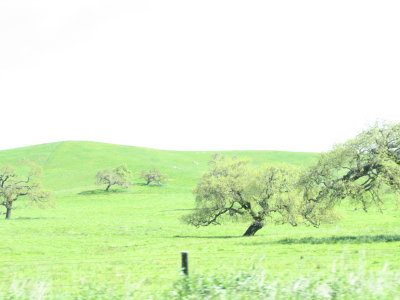 California2007 003.jpg