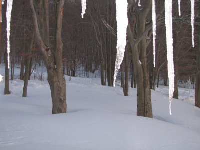 February1-17 025.jpg