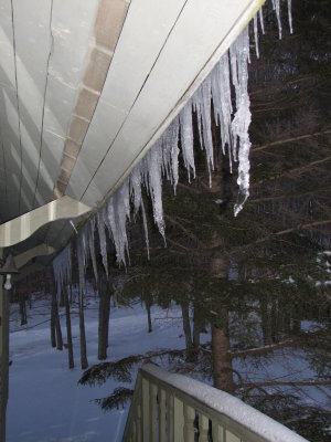 February1-17 036.jpg