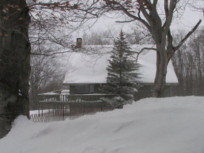 February1-17 127.jpg
