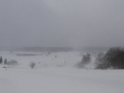 February1-17 130.jpg
