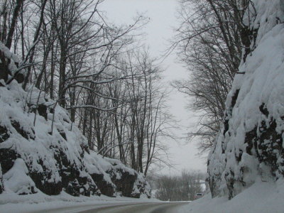 February1-17 160.jpg