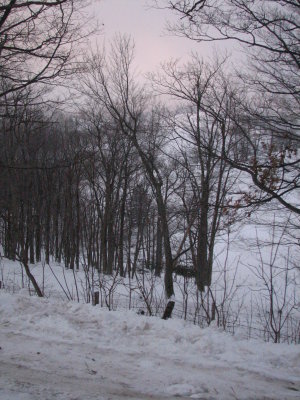 February1-17 166.jpg
