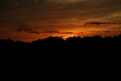 IMG_6224.JPG