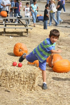 IMG_0256.jpg
