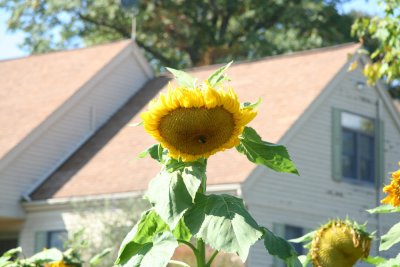 IMG_0383.jpg