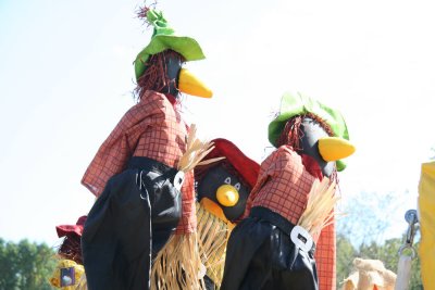 IMG_0431.jpg