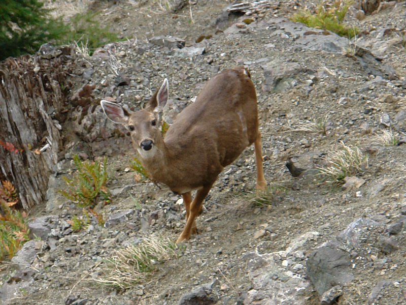 Below the road