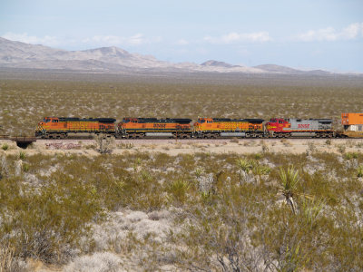 Crossing the Mojave