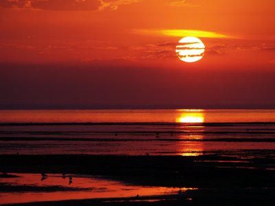 Jamestown Beach Sunrise