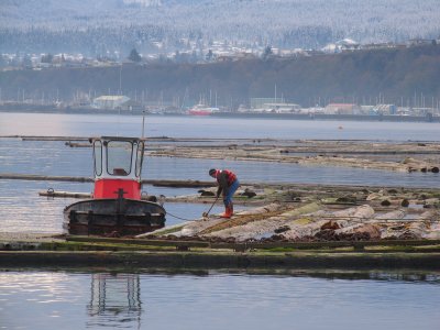 PushBoat1.jpg