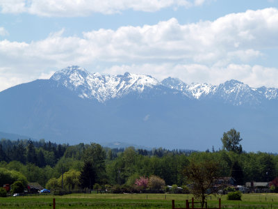 Spring View