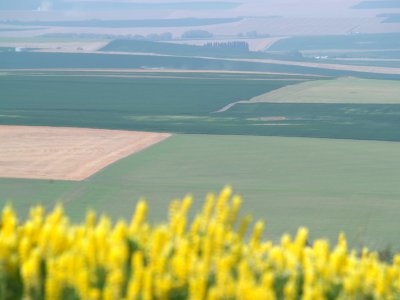 The Farms Below