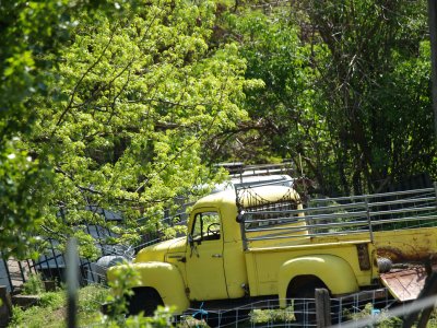 Yellow Ranch Truck