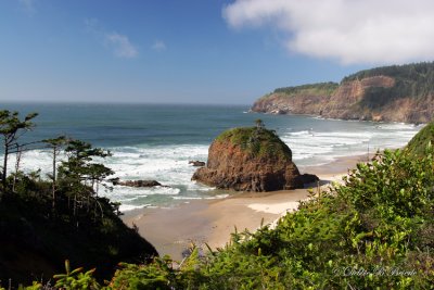 Oregon Coast 01