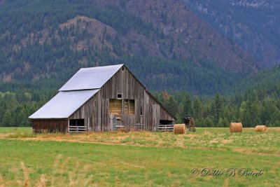 Montana Rustic Barn