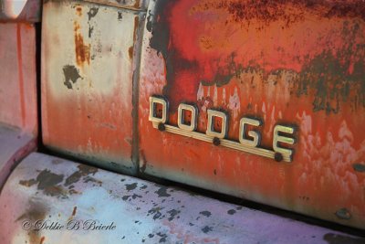 Dodge Truck