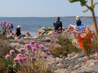 Bland de yttersta skren