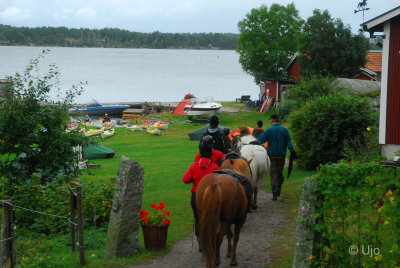 Hstarna var lite stressade av vrt lger i trgrden s de fick ledas frbi.