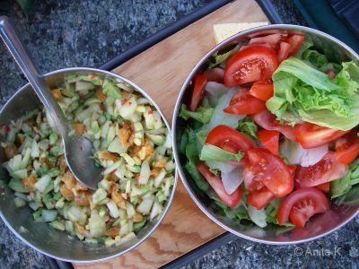 Avokadosalsa och sallad