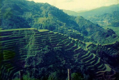 banaue rice terrcs.jpg