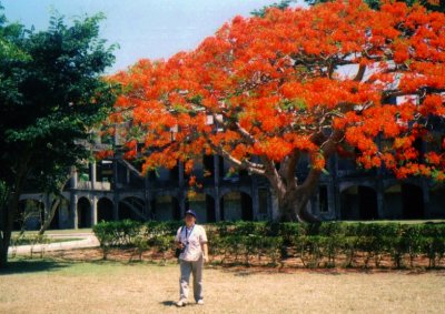 Corregidor