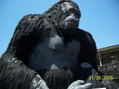 kong