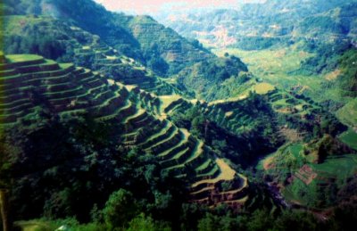 banaue rice terr.jpg