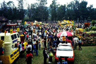 panagbenga17.jpg