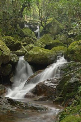 Ng Tung Waterfall 梧桐寨瀑布 DSC_04780001.JPG